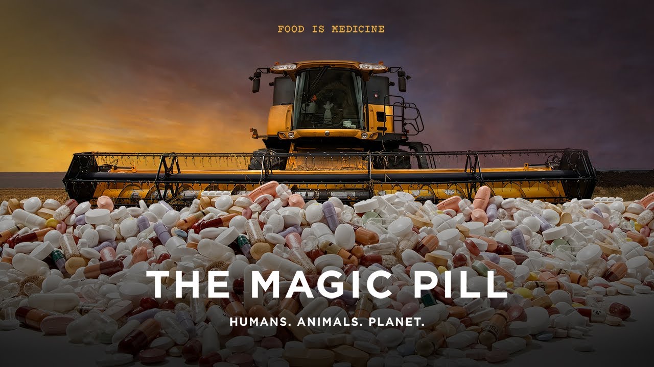 Review of the Food & Health Documentary “The Magic Pill”